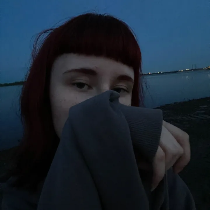 in4ernet.skrr