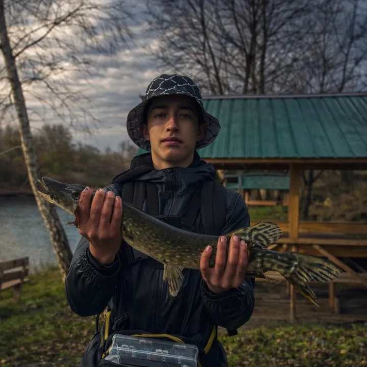 _ddyyxxfish_0