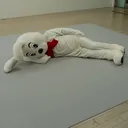 @user2494779374075