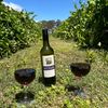munariwines