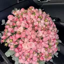 @aislluv1