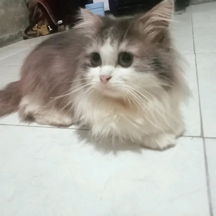 mom_arsyy