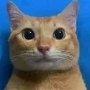 @luisito_0442