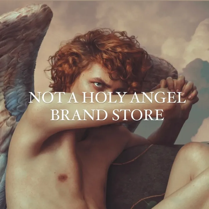 @not_a_holy_angel