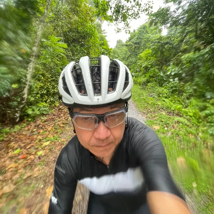 chestnut_rider