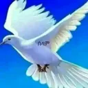 @user2833609149067