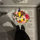 @bfly.6