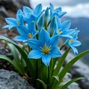 @user69498513170361