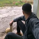 @danielreis11