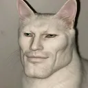@gutle1998