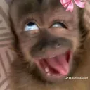 @andiana928