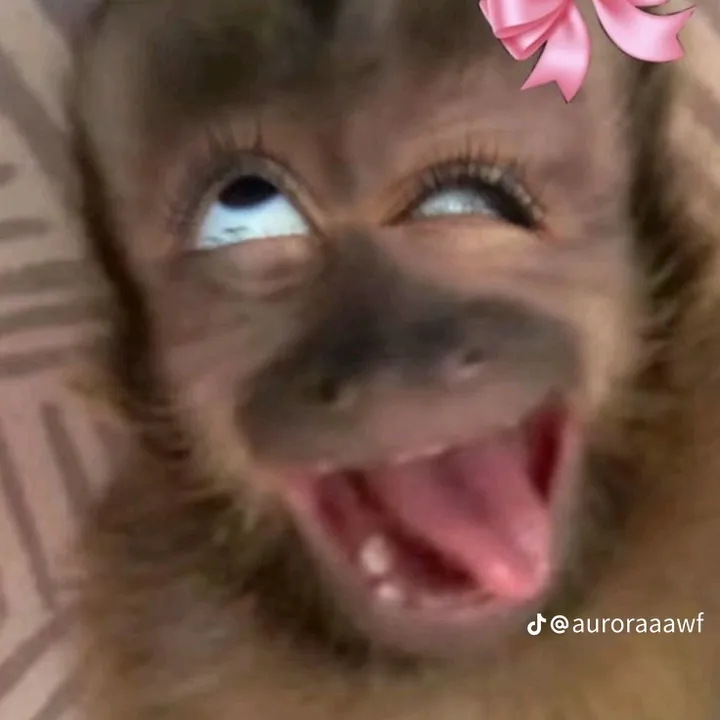 @andiana928