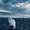 @1lastsumerr
