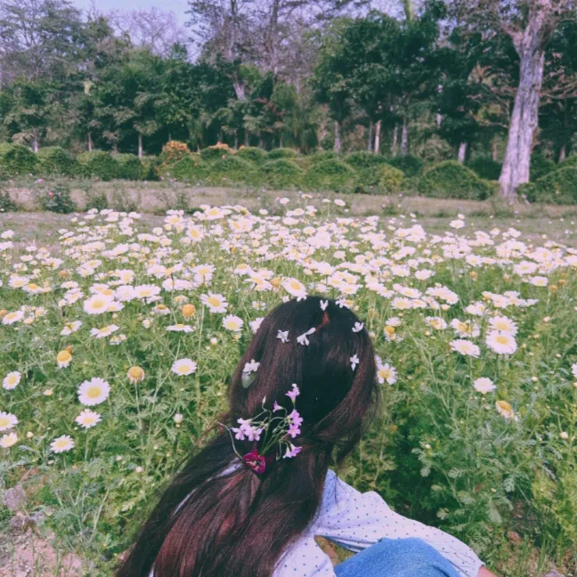 @aasmachaudhary7