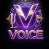 twinvvoice1