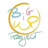 bigupproject