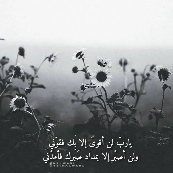 jojoal_aslmi