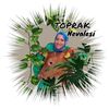 toprak_nevalesi