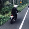 willyarta02