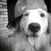 hamburger_bulger