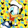 donaldducccc