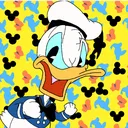 @donaldducccc