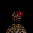 @whoiskisha.x