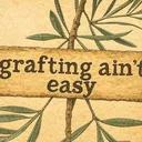 @graftingainteasy