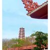 nguyentruongkhoa7