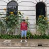 papaed28