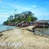 pulaucangkir