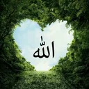 @haf9310