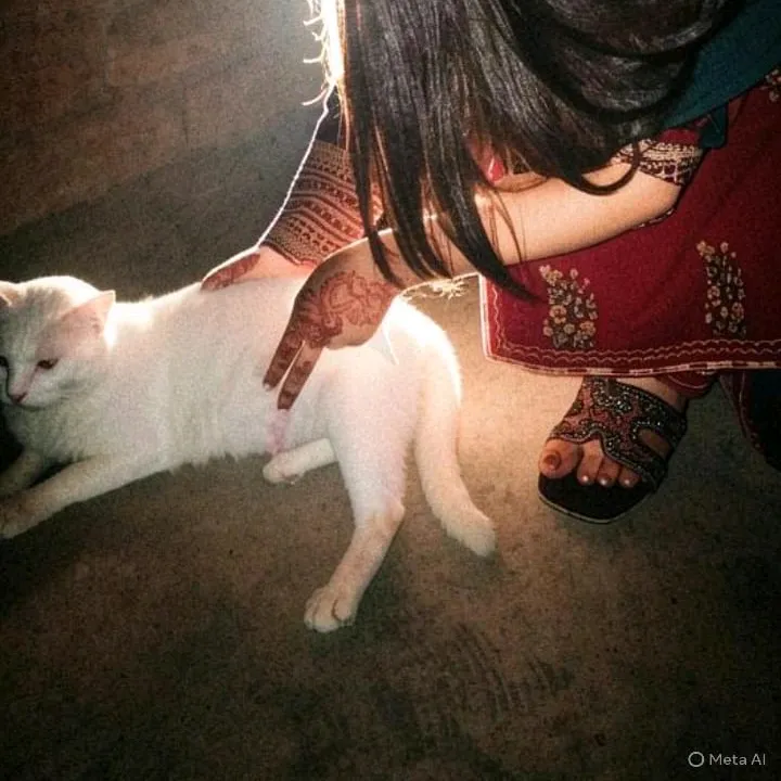 @asifaabbasi25