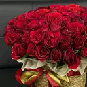 @egana_shakh