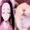 @sigma_5mb