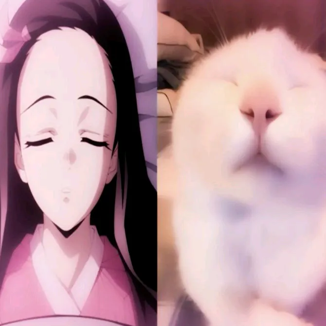 @sigma_5mb