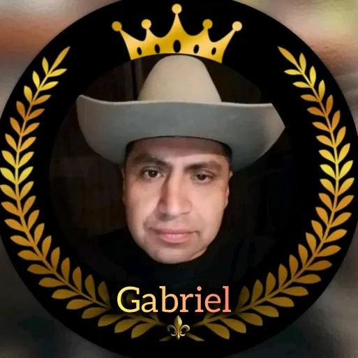 gabriel1987s