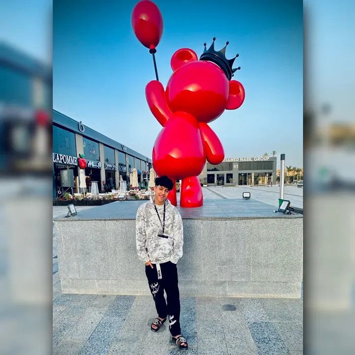 mohamed_fayez_2