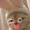 @double.bf