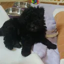 @sun.123450