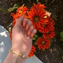 @vecsizlik023