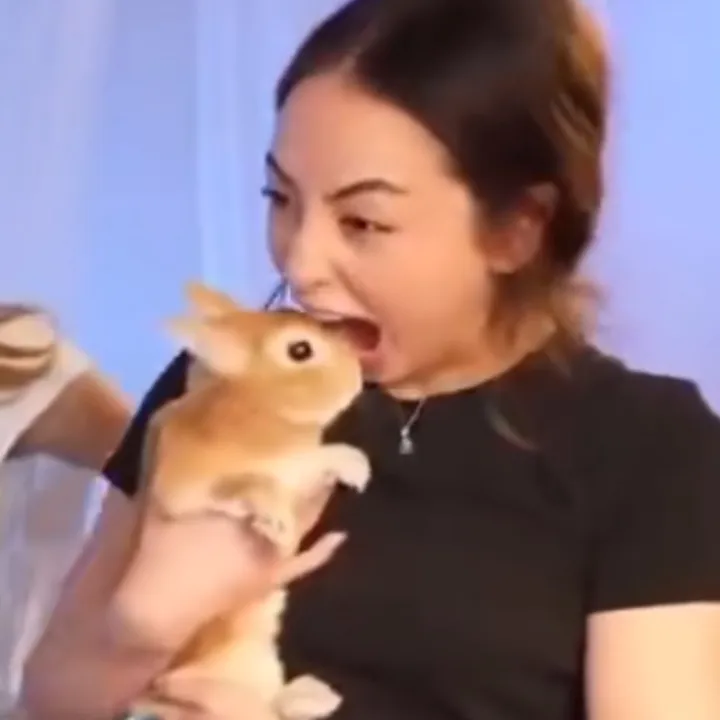 sakurashymko