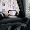 mammedov_3542