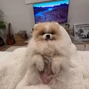 @leebuck08