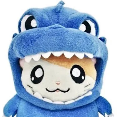 bonito_xin