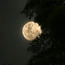 @mars_mars777