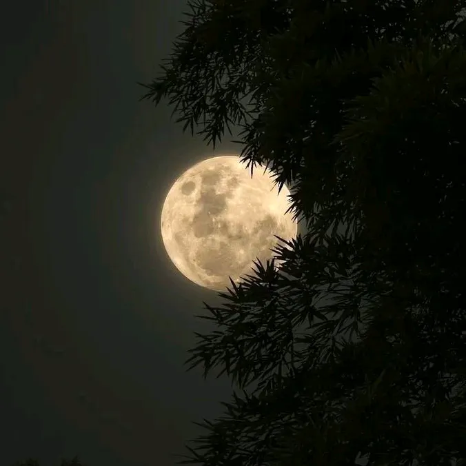 @mars_mars777