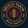 mala_bavo