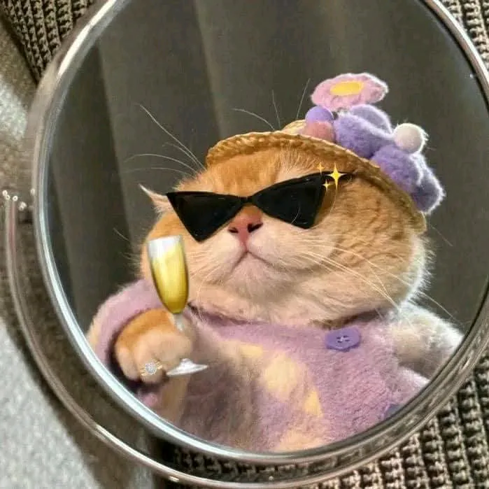 @rautlaxmitharu