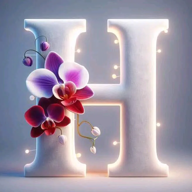@haninmusic7